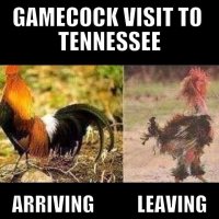 Gamecock-visit-Tenn-MEME.jpg