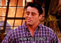 giphy (3).gif