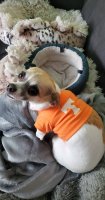 IMG_20200926_175709_329.jpg