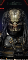 613B9CDD-2900-45BB-81D6-0E8CE6D5263C.png