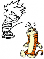 1601649997069.png