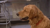 1601765107057.gif