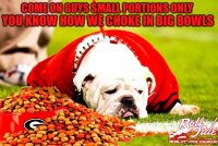 101-downloadgeorgiabulldogmemefinsidhed.jpg