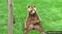 Nx548W.gif