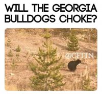 FB_IMG_1601778940298.jpg
