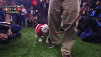 1602251144317.gif