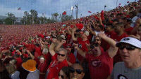 VOLFan.gif