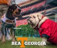 FB_IMG_1602271365606.jpg