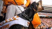 FB_IMG_1602337758774.jpg