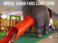 Bama fans.jpg
