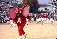 Dumbo AL Mascot.jpg