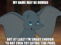 Dumbo.jpg
