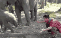 Xz5yiymhR5qta.gif