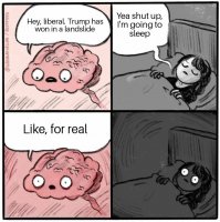 Brain_Before_Sleep_03112020181705.jpg