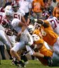 tennessee2.jpg