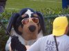 100_0130.JPG
