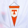 UT Pen this.jpg
