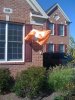 UT Flag.jpg