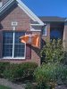 UT Flag 2.jpg