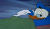 DUCKING 2.jpg