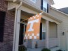 UT Flag.jpg