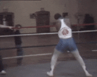 1605825150166.gif