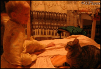 9accf977-f055-4541-bd12-bf7e2a64c136.gif