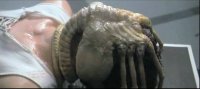 Alien face hugger scene.jpg