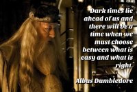 dumbledoredarktimesquote.jpg