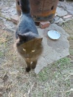 20201208_164318.jpg