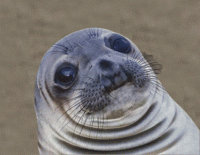 E3EDA779-6C01-42A0-ACC6-787AB304640D.gif