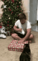 5f6fd0cf-80ba-4e7f-8768-d3224141af1f.gif