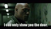B09FC386-A5C6-485E-B662-6C341DA11539.gif