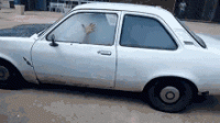1607682264487.gif