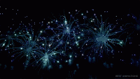 50-amazing-fireworks-animated-gif-pics-to-share-animated-png-fireworks-600_338.gif