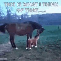 74812E38-01B7-40F7-942D-07F59CC49079.gif