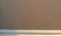 IMAG0874.jpg