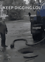 1608311329229.gif