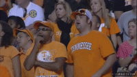 1608311744685.gif