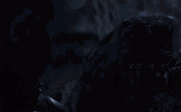 1608427130366.gif