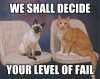 FAIL-Cats-We-shall-decide.jpg