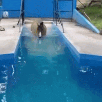 1609920994649.gif