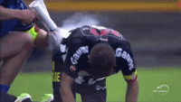 C9EFCFDD-9491-4BD9-85EB-3C46821943C3.gif