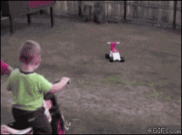 giphy (9).gif