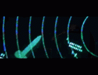 1610142616411.gif