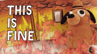 this-is-fine.gif
