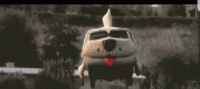 dumb-and-dumber-dog-van-gif.gif