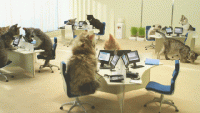 giphy (3).gif