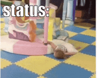 1610680960952.gif