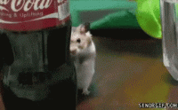 1610741039785.gif